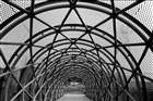 dailyPhoto21